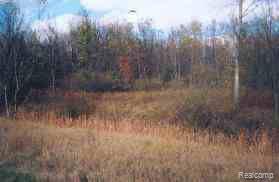 3-ac 3-ac Sanilac Road Caro, MI 48723 - Photo 1 of 1 Property Photo