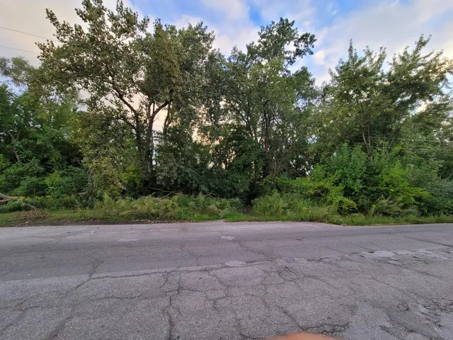 a view of a yard with a tree
