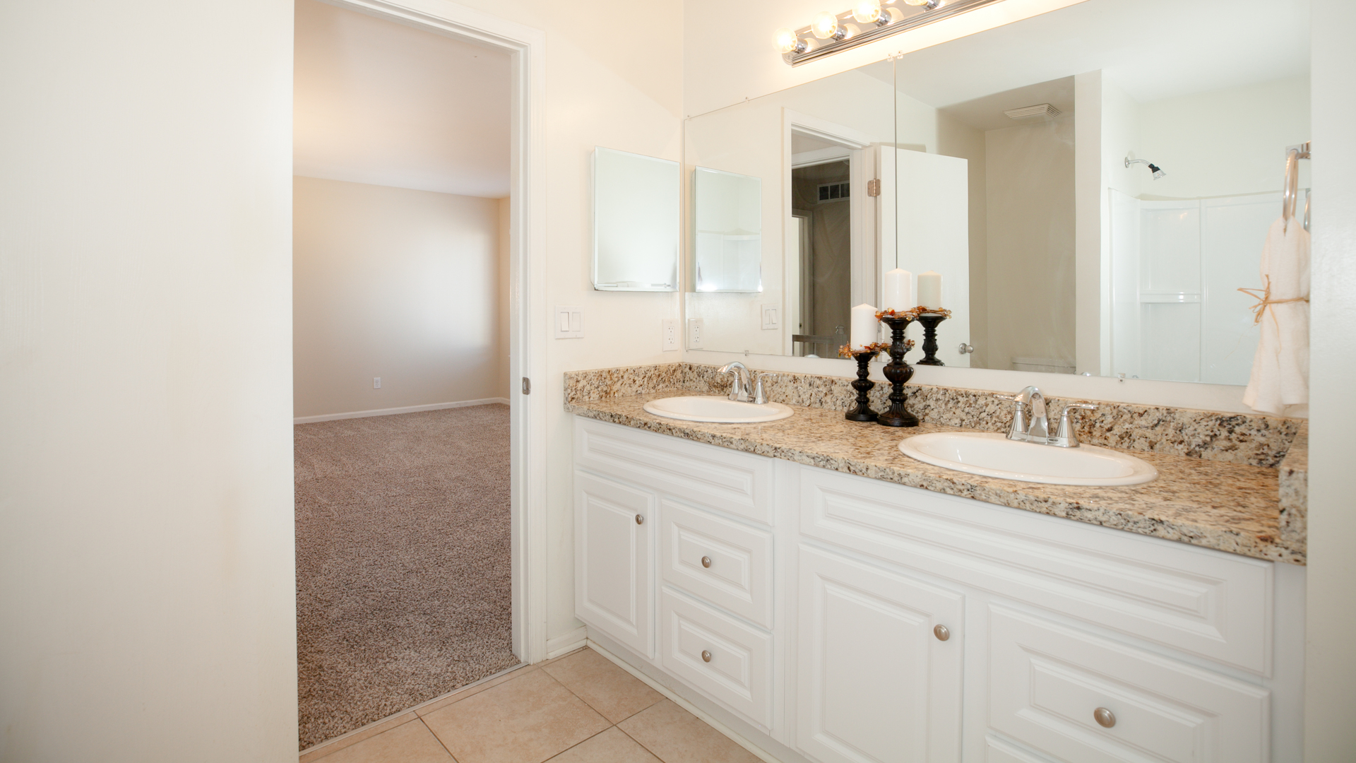 217 Troy Court Romeoville, IL 60446 - Photo 10 of 11