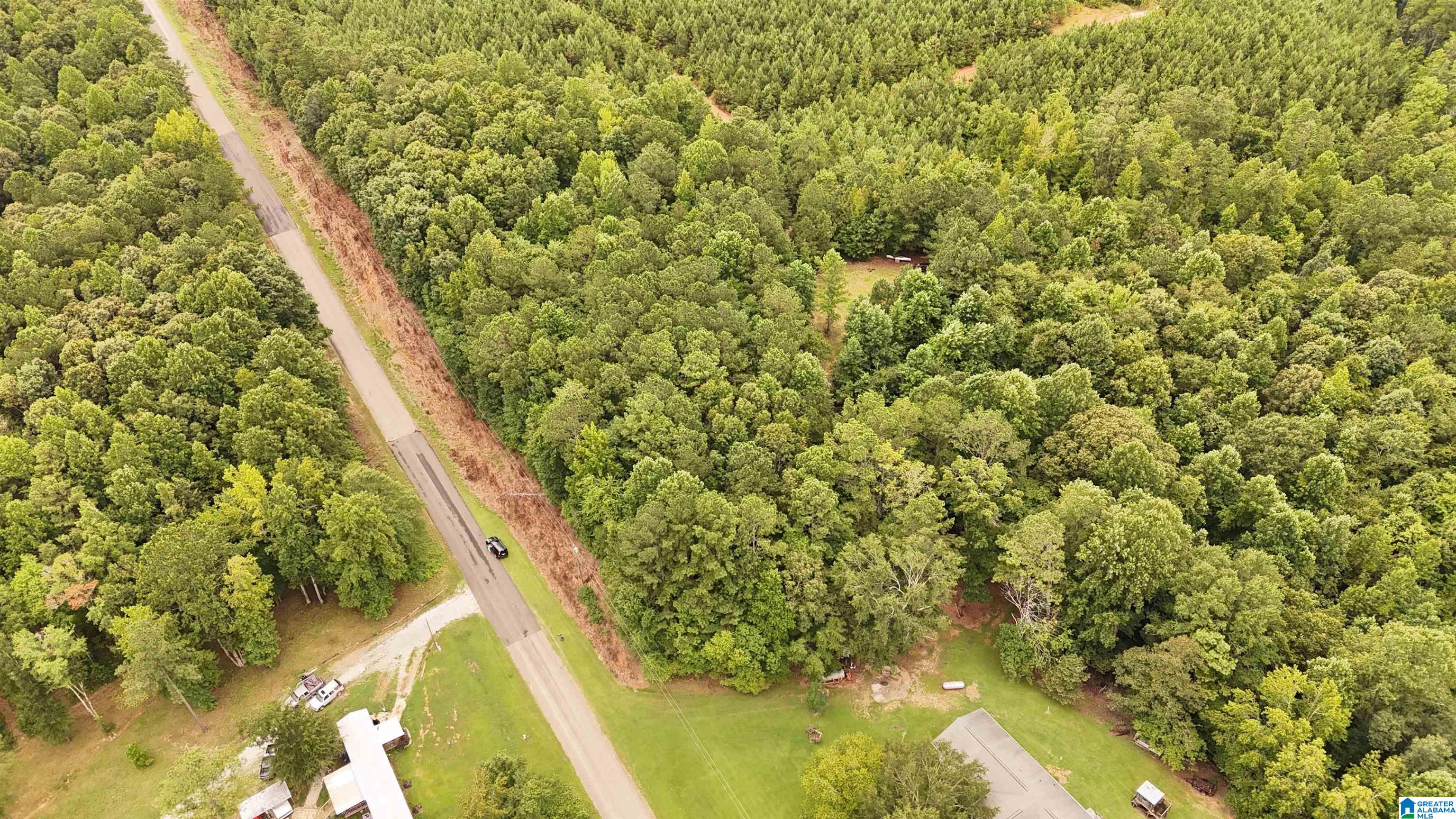 0 County Road 33, Unit METES AND BOUNDS Fruithurst, AL 36262 - Photo 3 of 7