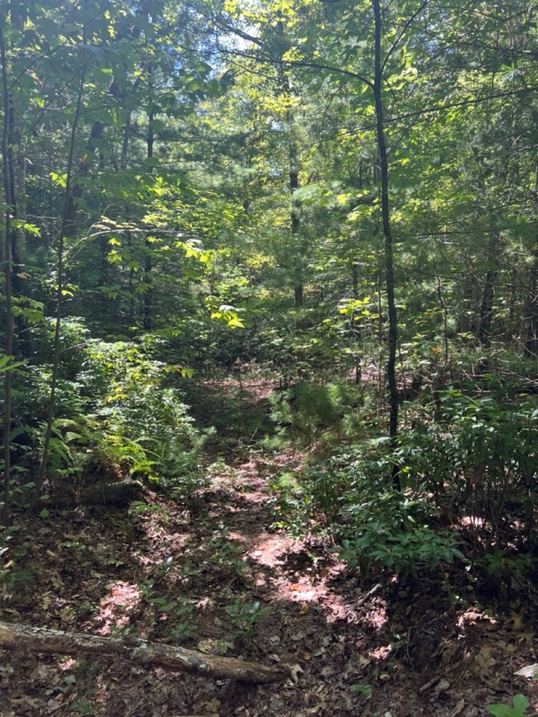 Lot 6-7 Donley Road Murphy, NC 28906 - Photo 13 of 14