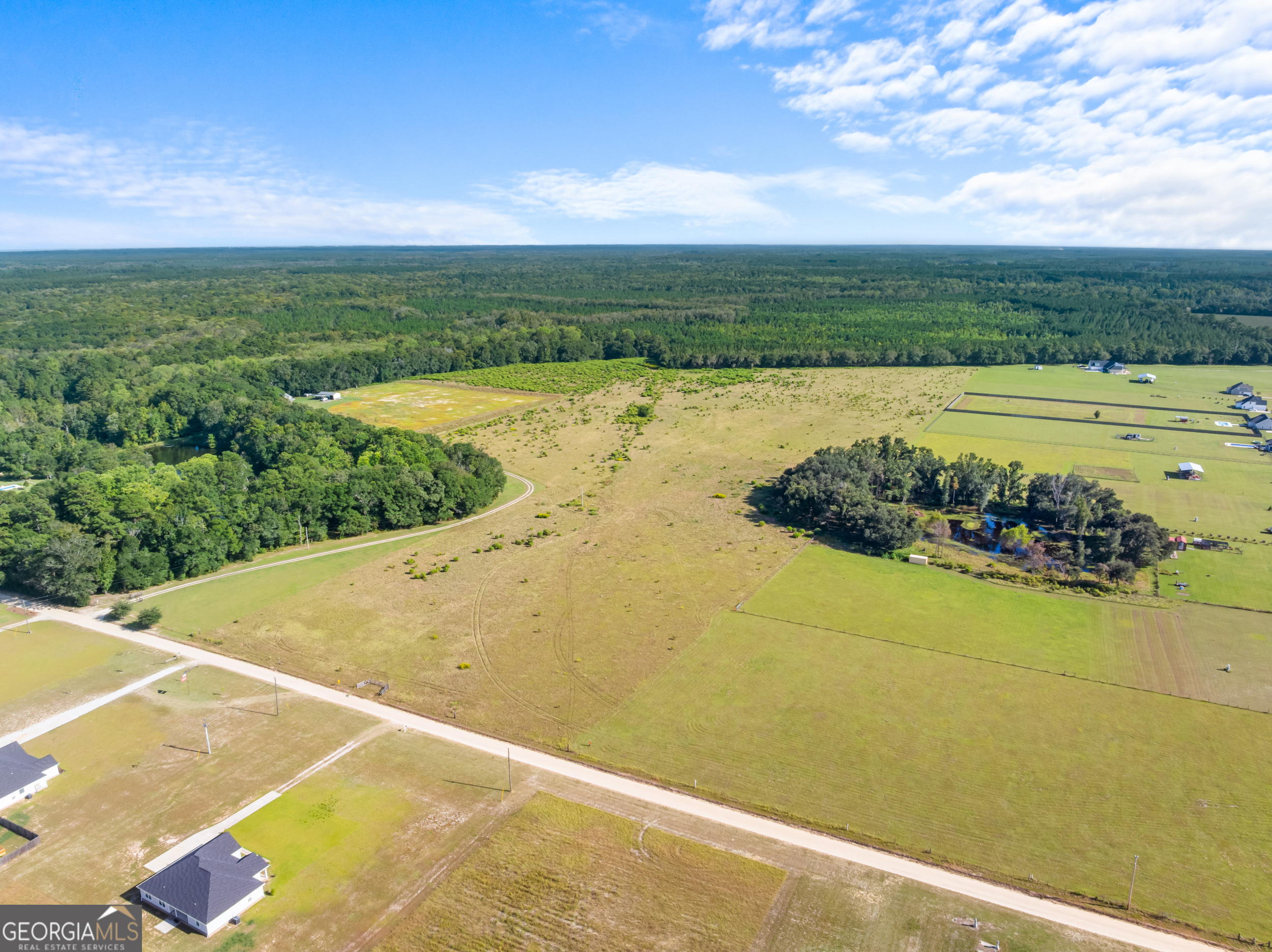 0 Shearouse Landing, Unit LOT 5 Brooklet, GA 30415 - Photo 2 of 6 a view of a swimming pool and an outdoor seating