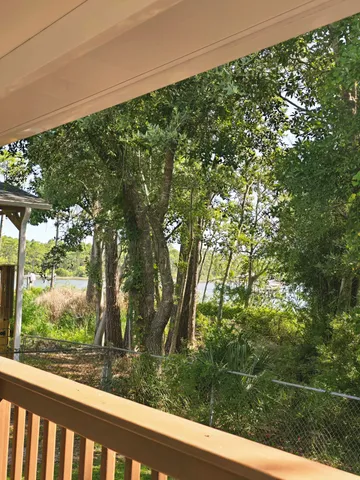 a view of a garden from a window