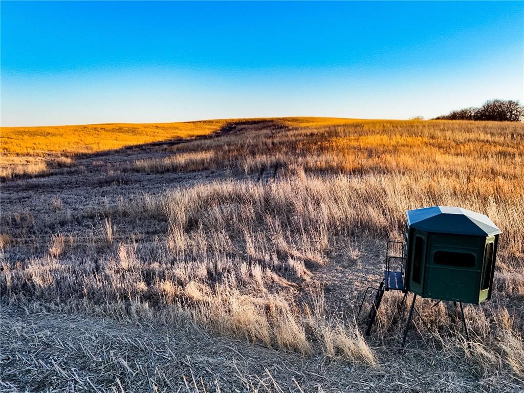 39 N/a Bolckow, MO 64427 - Photo 8 of 13