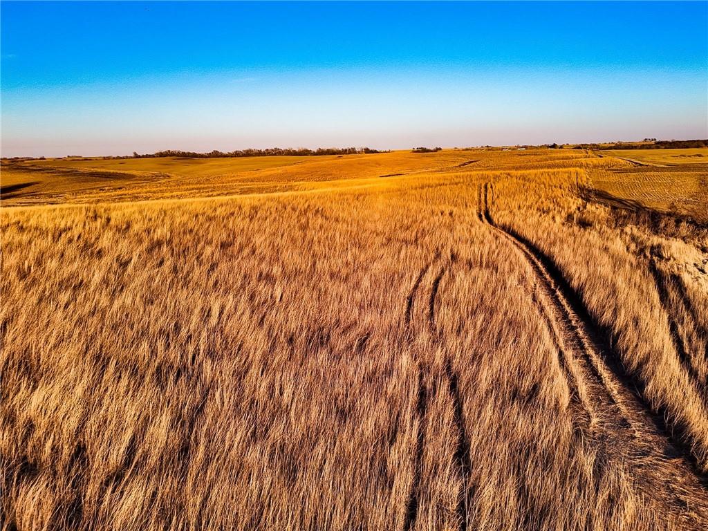 39 N/a Bolckow, MO 64427 - Photo 10 of 13