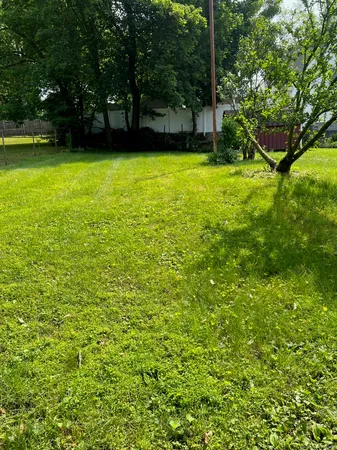 a view of a yard with a trees