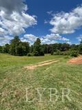 0 Union Hill Road Amherst, VA 24521 - Photo 3 of 4