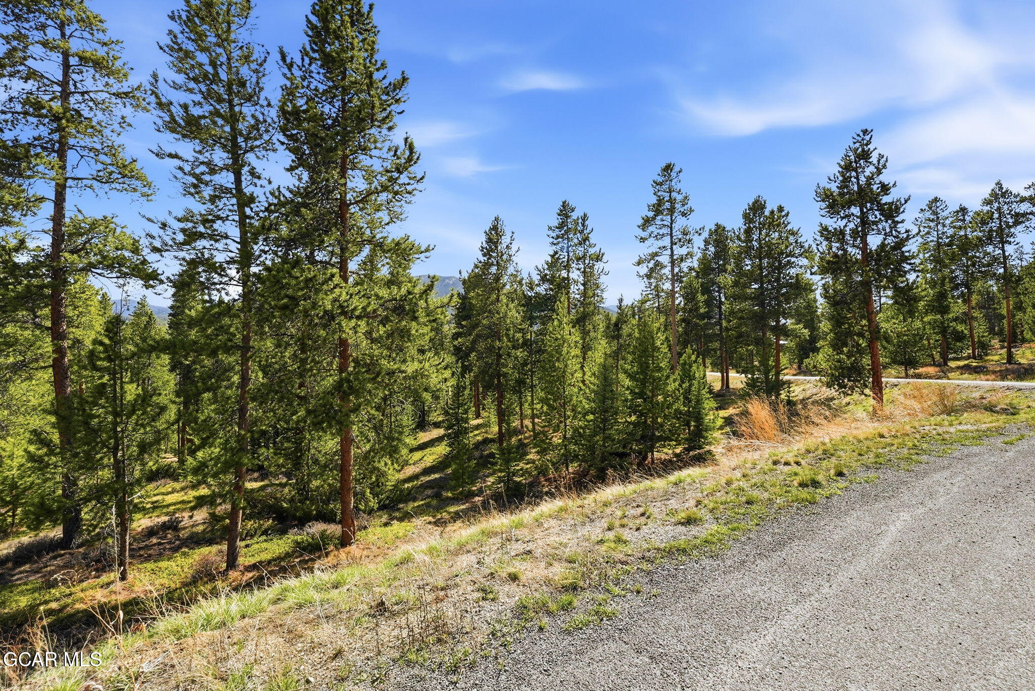 27 County Road Tabernash, CO 80478 - Photo 12 of 96 a view of a yard with a tree