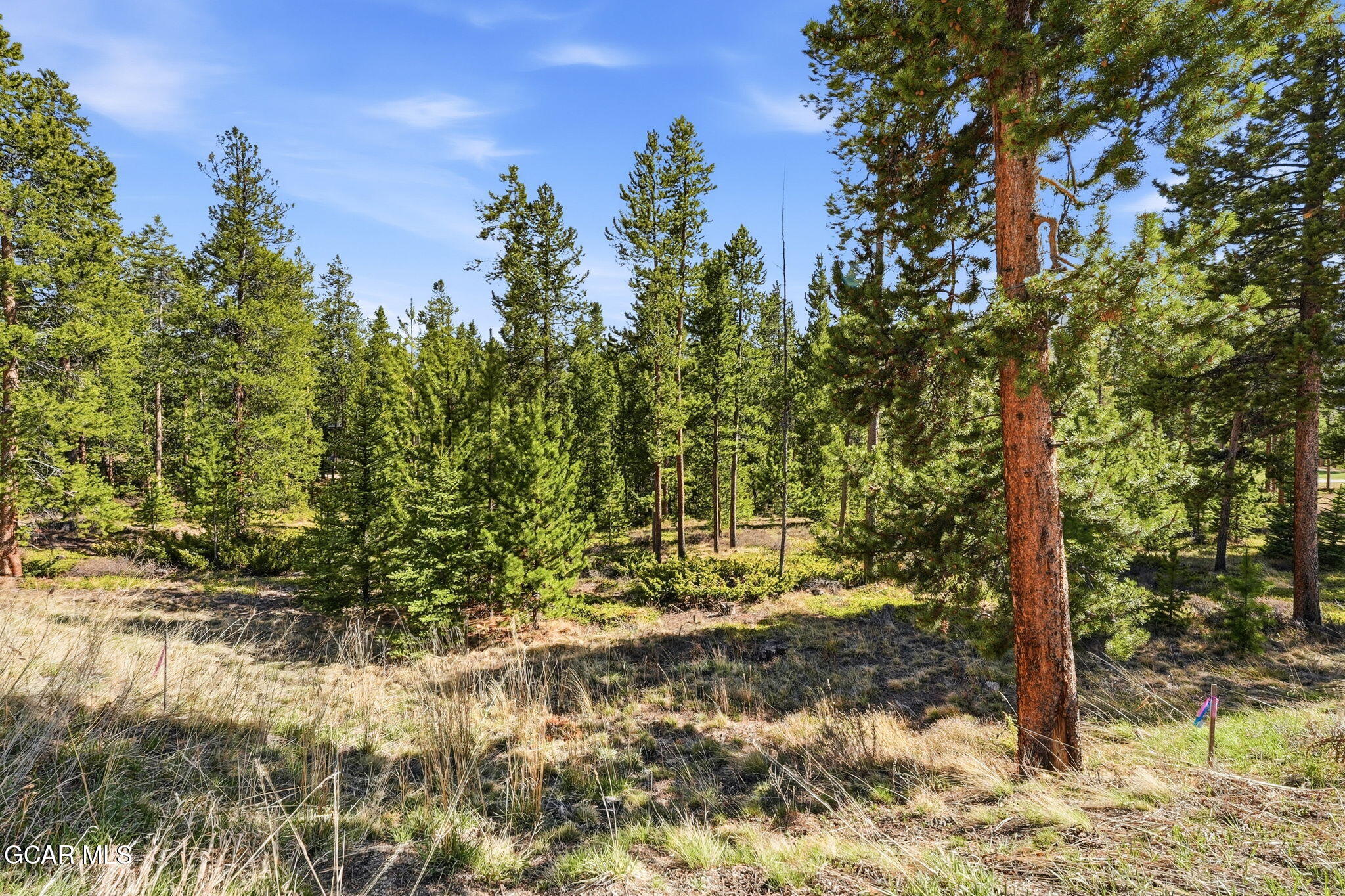 27 County Road Tabernash, CO 80478 - Photo 13 of 96 a view of a yard with plants and trees