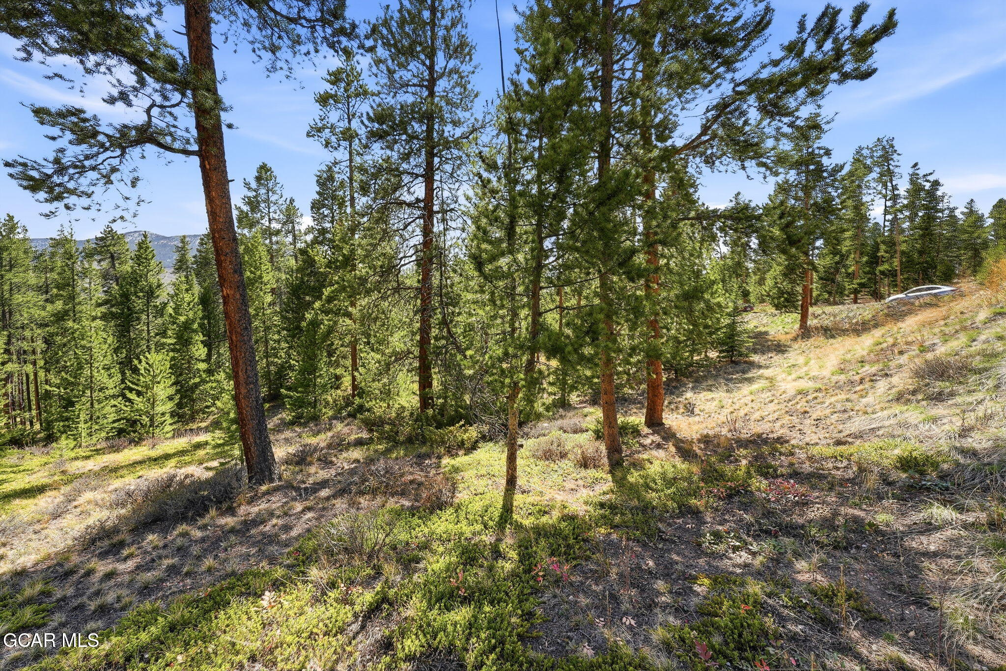 27 County Road Tabernash, CO 80478 - Photo 14 of 96 10-005-27-Purple-Sage-Ct