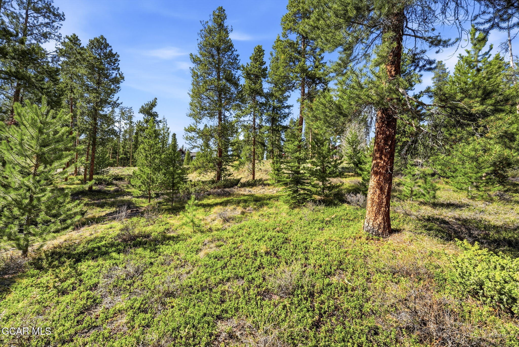 27 County Road Tabernash, CO 80478 - Photo 15 of 96 12-007-27-Purple-Sage-Ct
