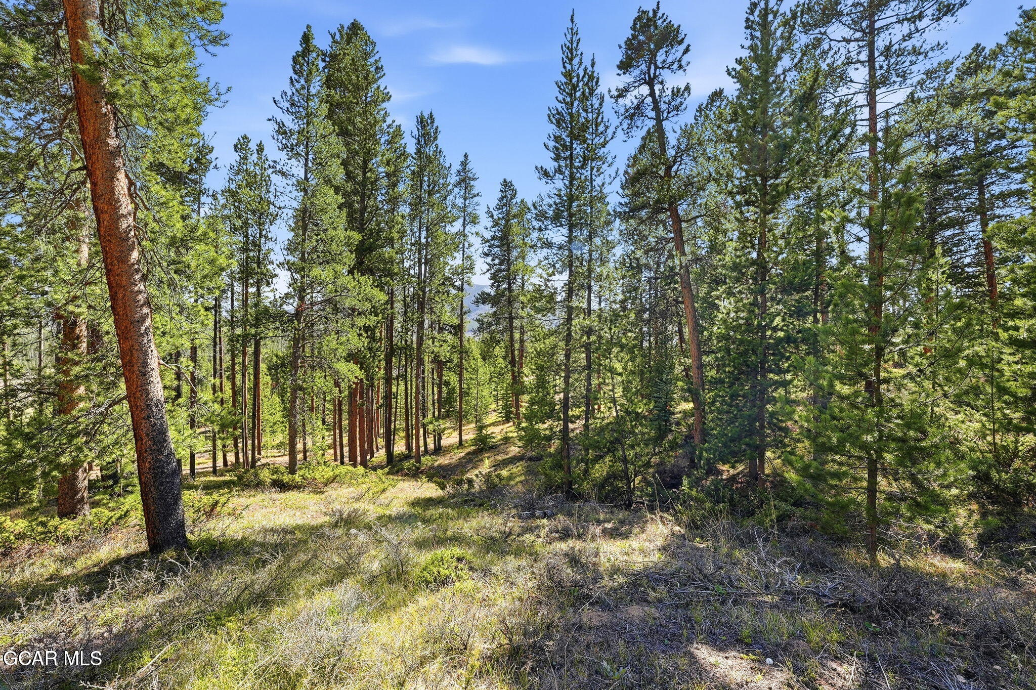 27 County Road Tabernash, CO 80478 - Photo 16 of 96 a view of outdoor space with trees