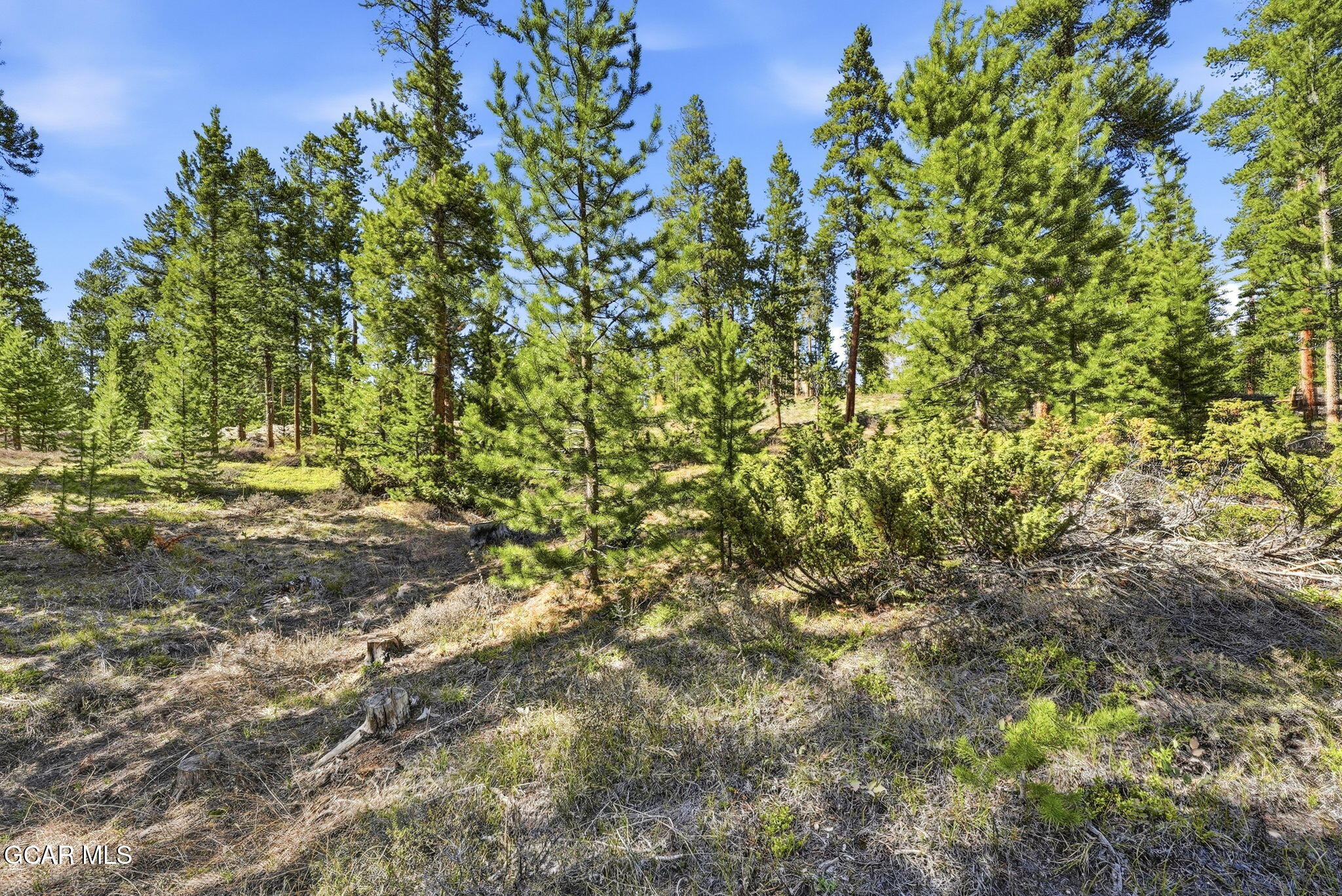 27 County Road Tabernash, CO 80478 - Photo 17 of 96 14-009-27-Purple-Sage-Ct