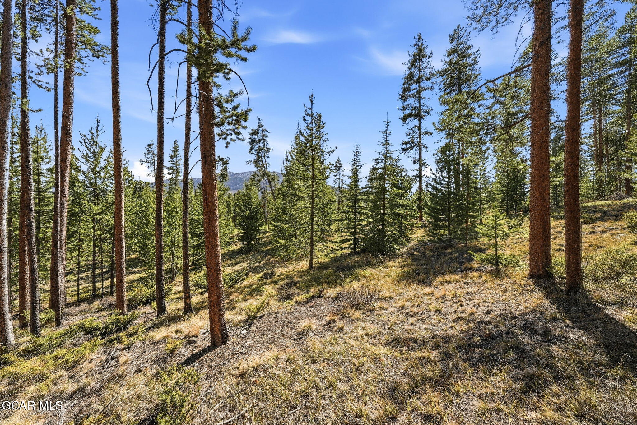 27 County Road Tabernash, CO 80478 - Photo 19 of 96 17-012-27-Purple-Sage-Ct