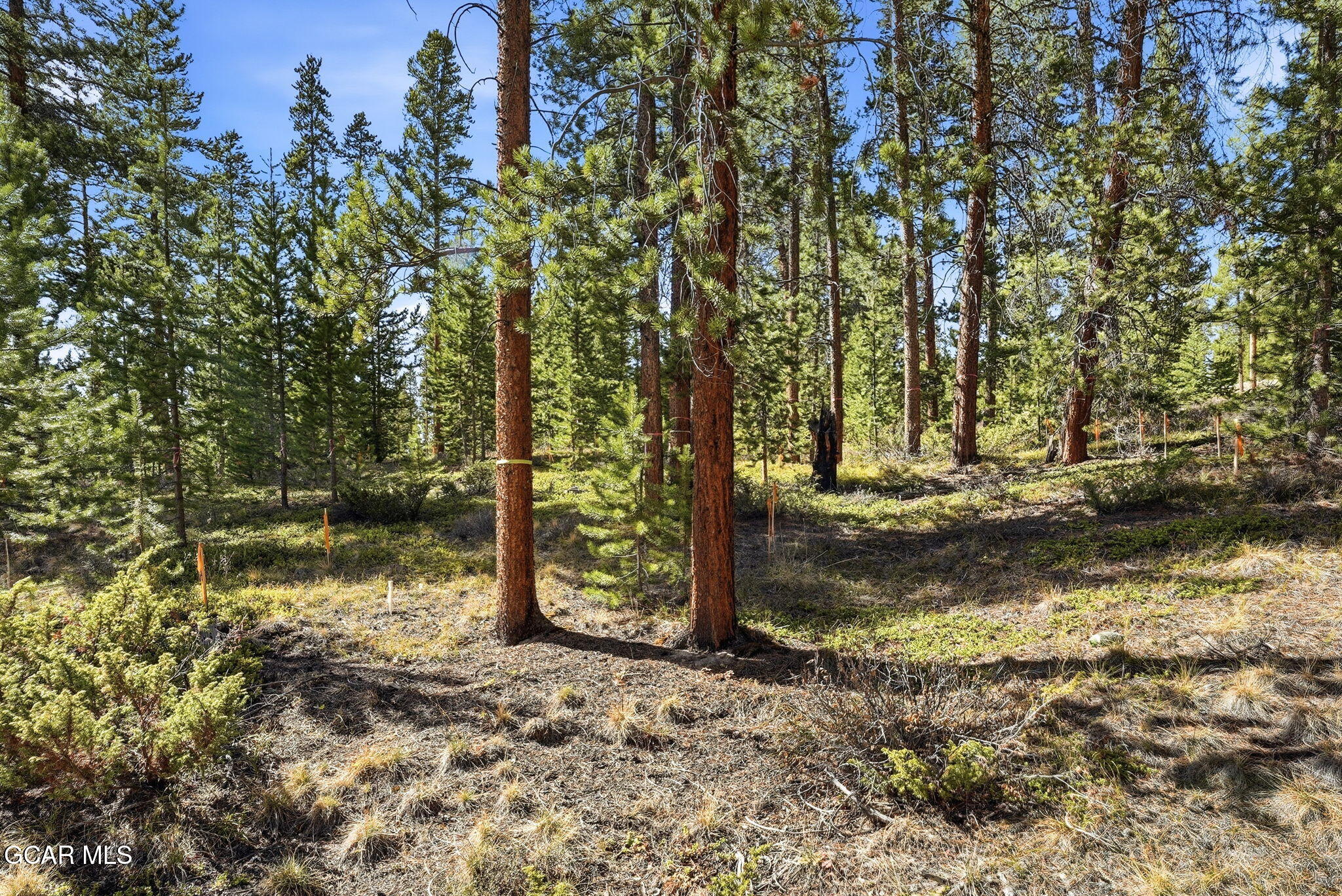 27 County Road Tabernash, CO 80478 - Photo 20 of 96 a view of a yard with trees
