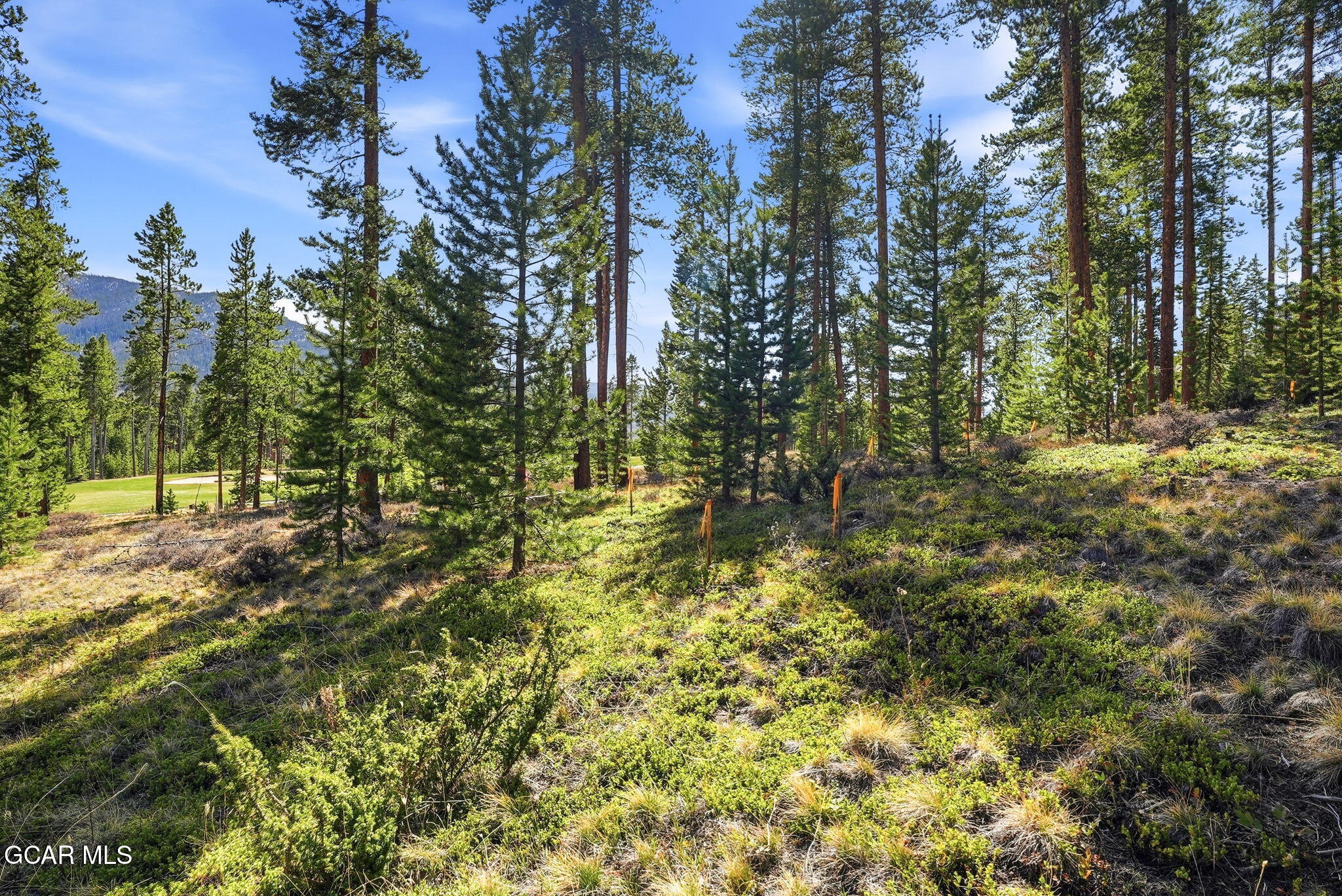 27 County Road Tabernash, CO 80478 - Photo 21 of 96 a view of a yard with large trees