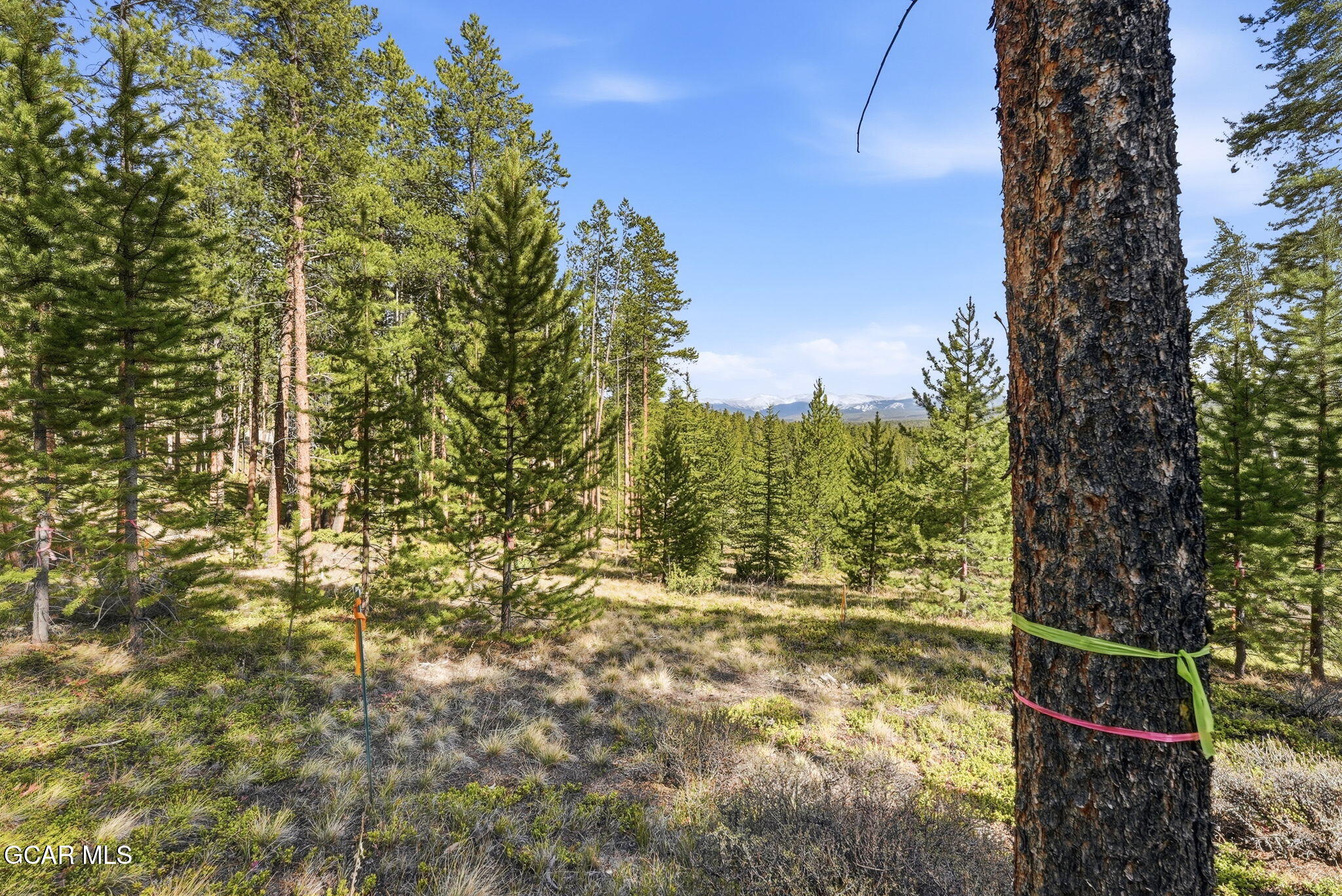 27 County Road Tabernash, CO 80478 - Photo 23 of 96 a view of a yard with plants and wooden fence