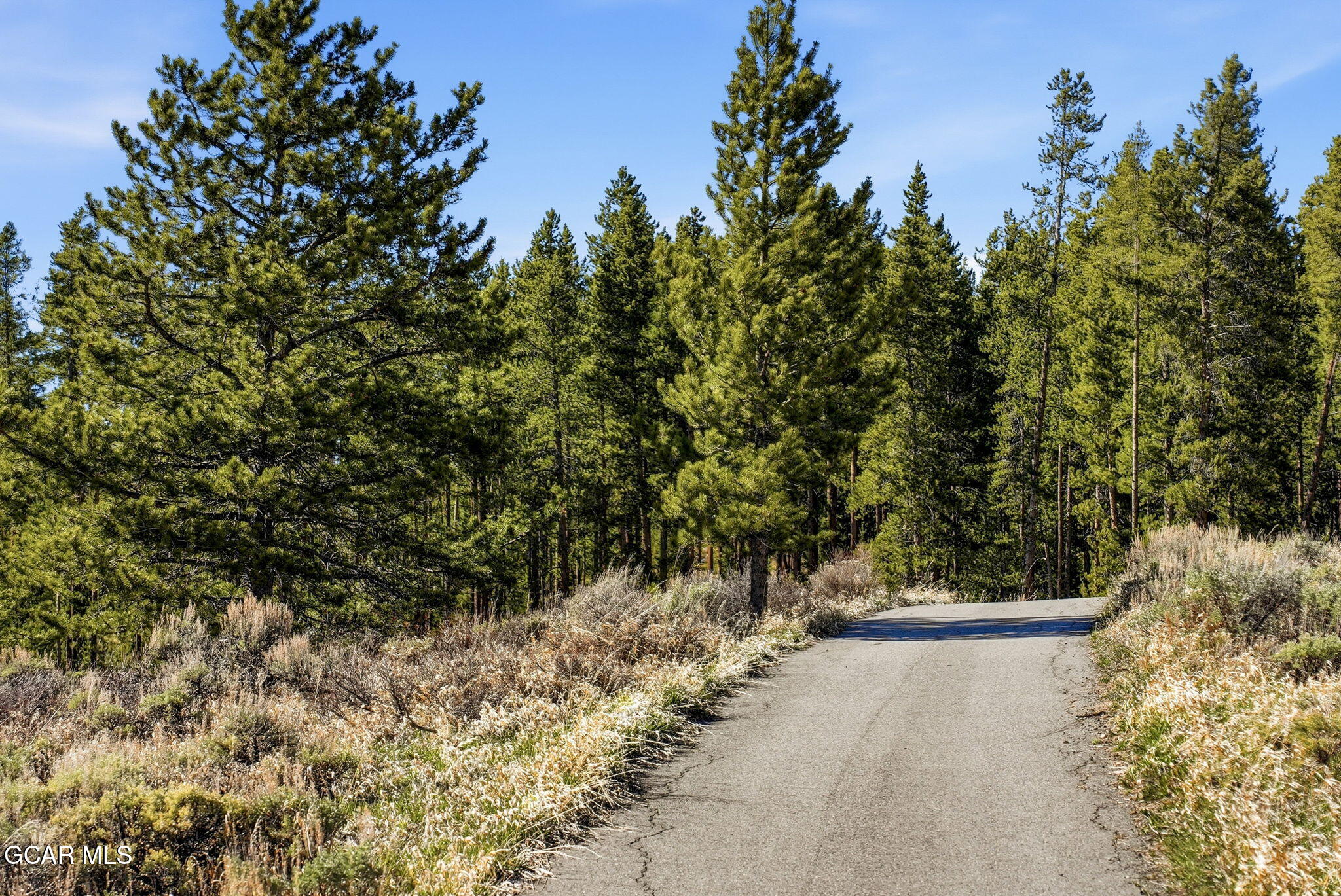 27 County Road Tabernash, CO 80478 - Photo 50 of 96 a view of a yard with a tree