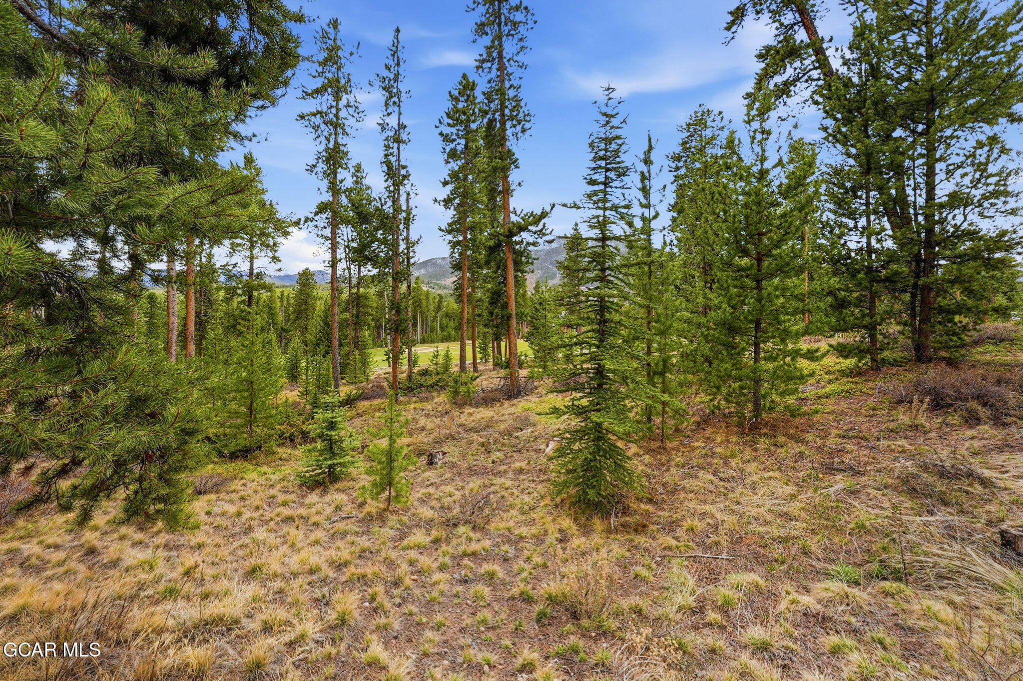 27 County Road Tabernash, CO 80478 - Photo 5 of 96 a view of yard with trees