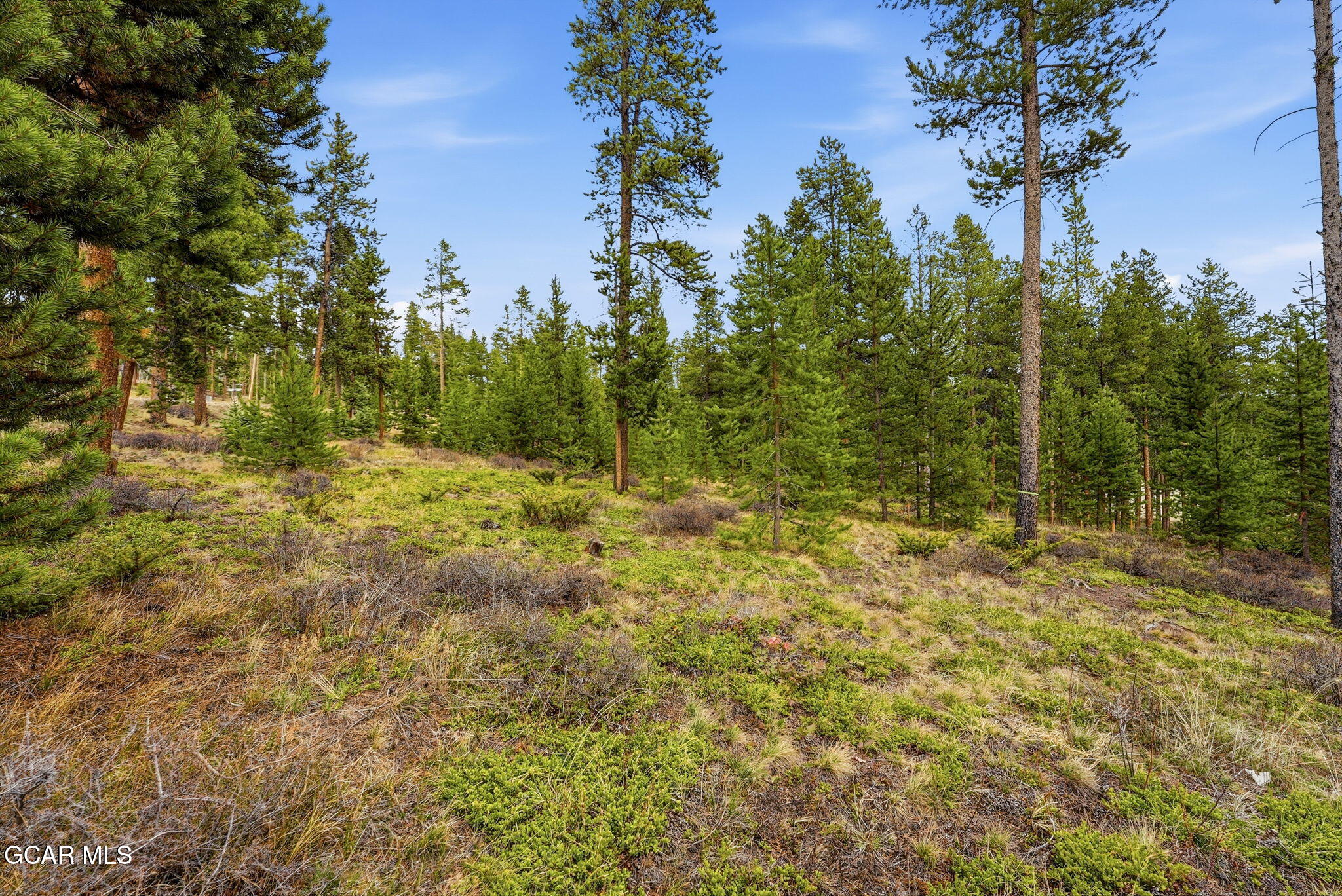 27 County Road Tabernash, CO 80478 - Photo 6 of 96 a view of a yard with plants and trees