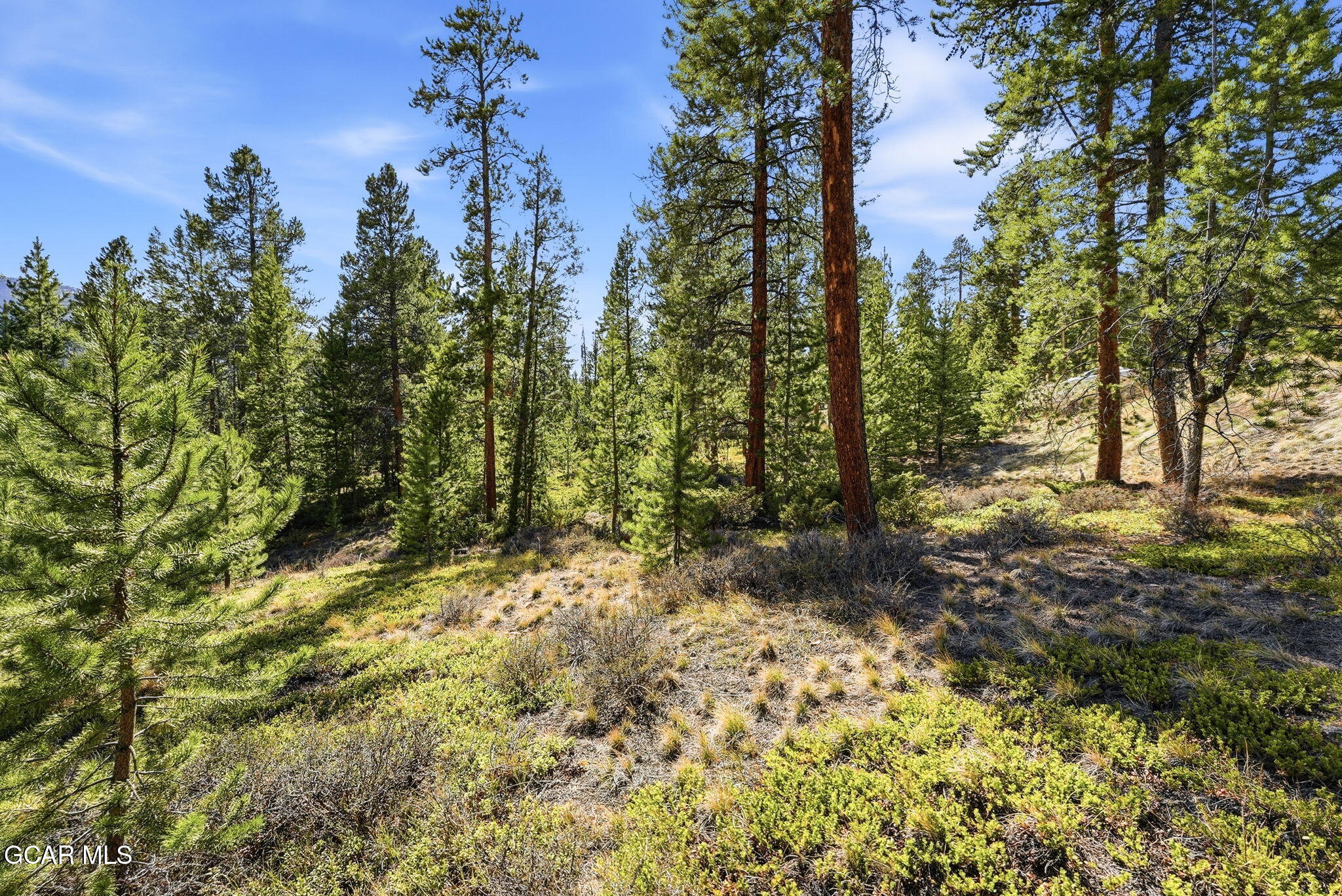 27 County Road Tabernash, CO 80478 - Photo 9 of 96 a view of a yard with plants and trees