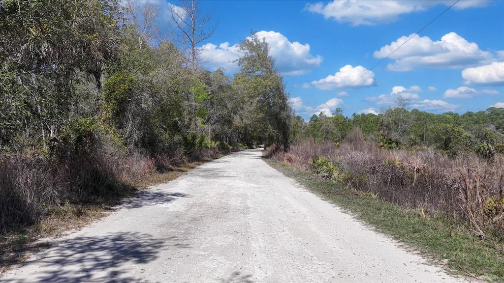 Shiloh Road Cedar Key, FL 32625 - Photo 14 of 26 Gallery Image 14