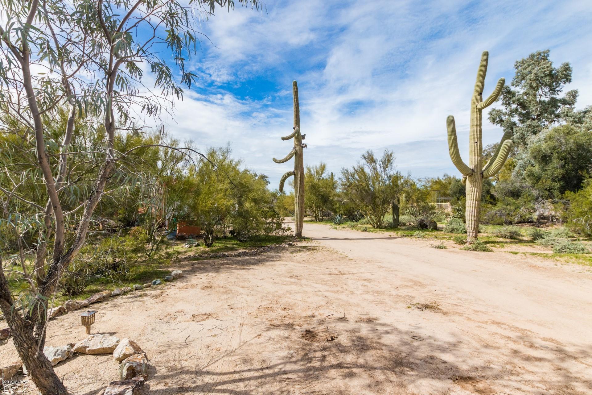 10855 North Sandra Road Tucson, AZ 85742 - Photo 23 of 24 Gallery Image 23