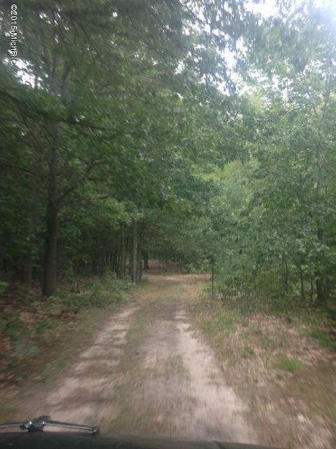 6696 Simonelli Road Whitehall, MI 49461 - Photo 24 of 32 IMG_3379