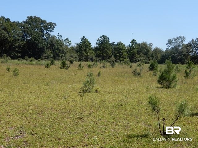1400-block Old Atmore Road Flomaton, AL 36441 - Photo 5 of 20