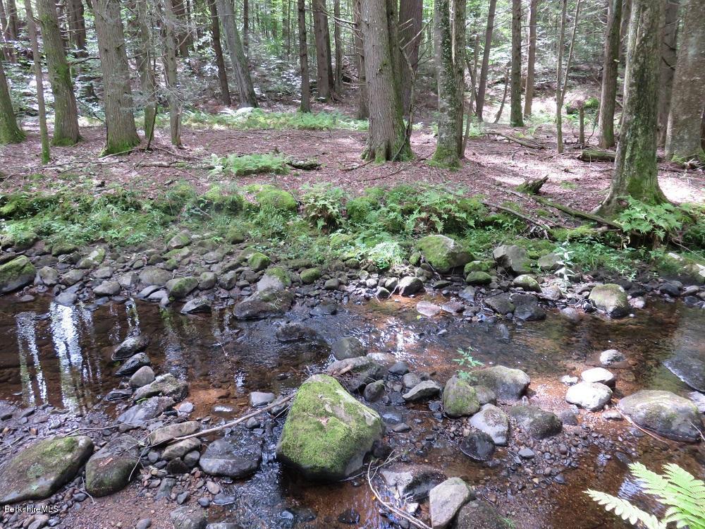 Colebrook River Road Tolland, MA 01034 - Photo 1 of 7 a view of backyard with green space