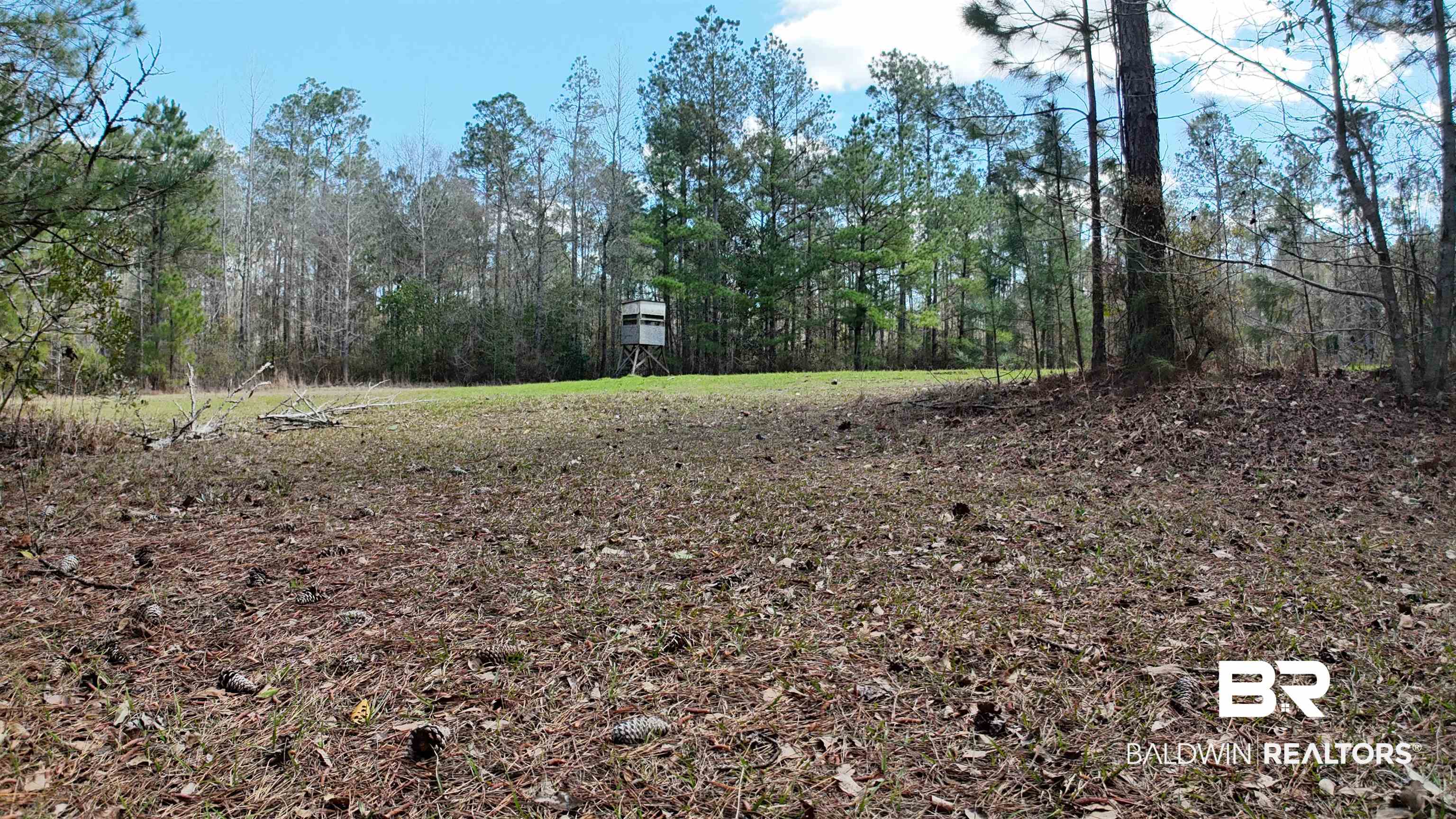 11808 Abb Road Tibbie, AL 36583 - Photo 9 of 31 View of yard with a wooded view