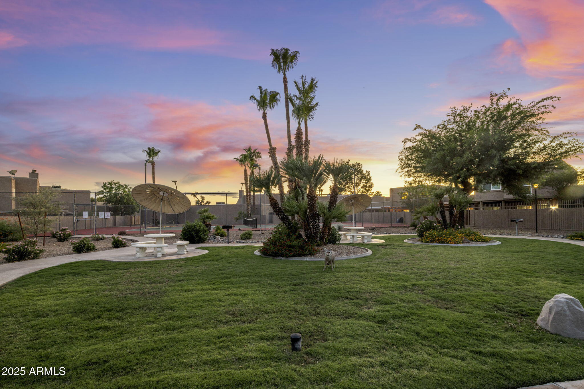 4037 East Bloomfield Road Phoenix, AZ 85032 - Photo 34 of 40 Community Grass Are