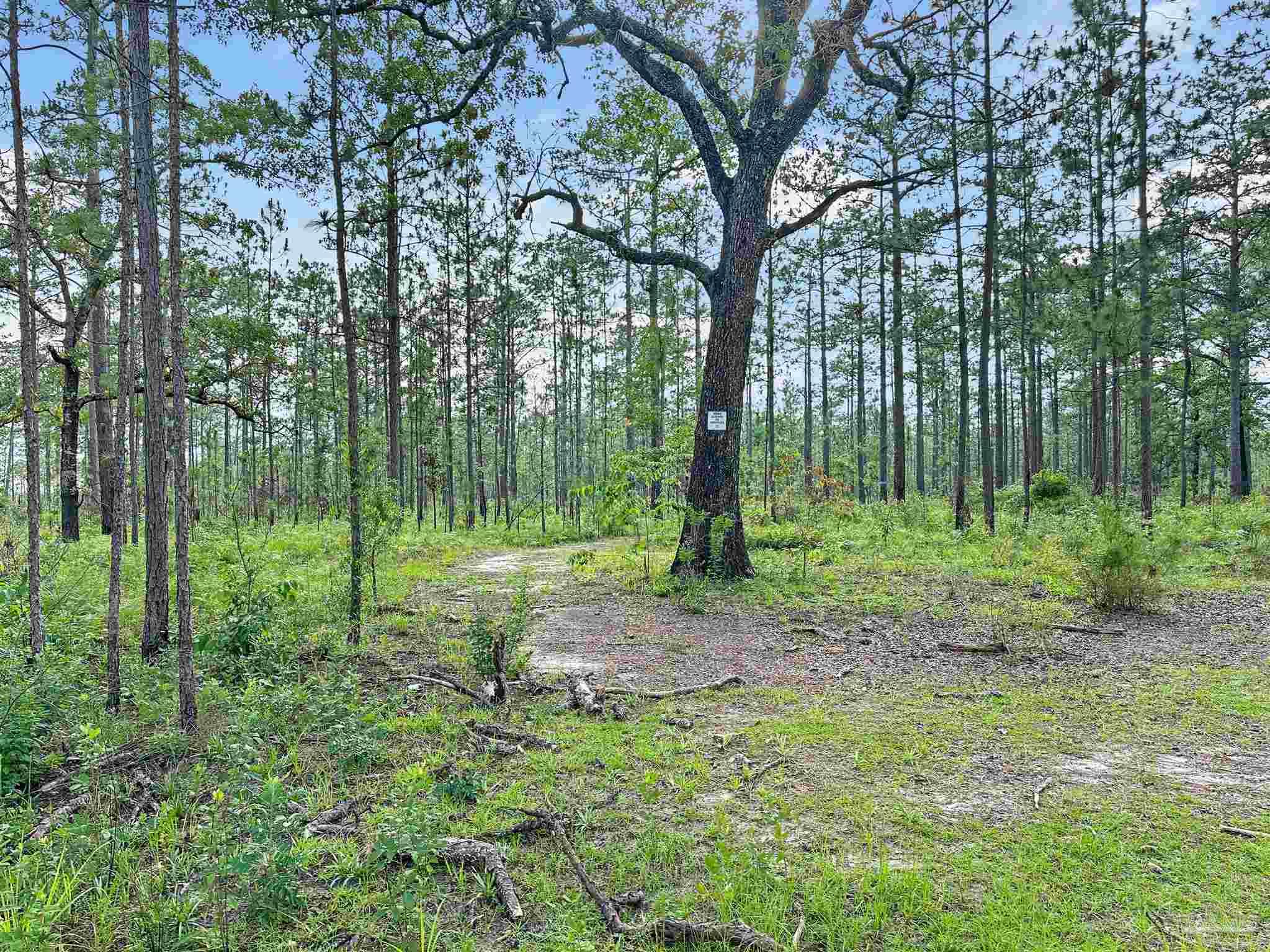 1150 Fleming Bridge Road Milton, FL 32570 - Photo 54 of 54 Gallery Image 54