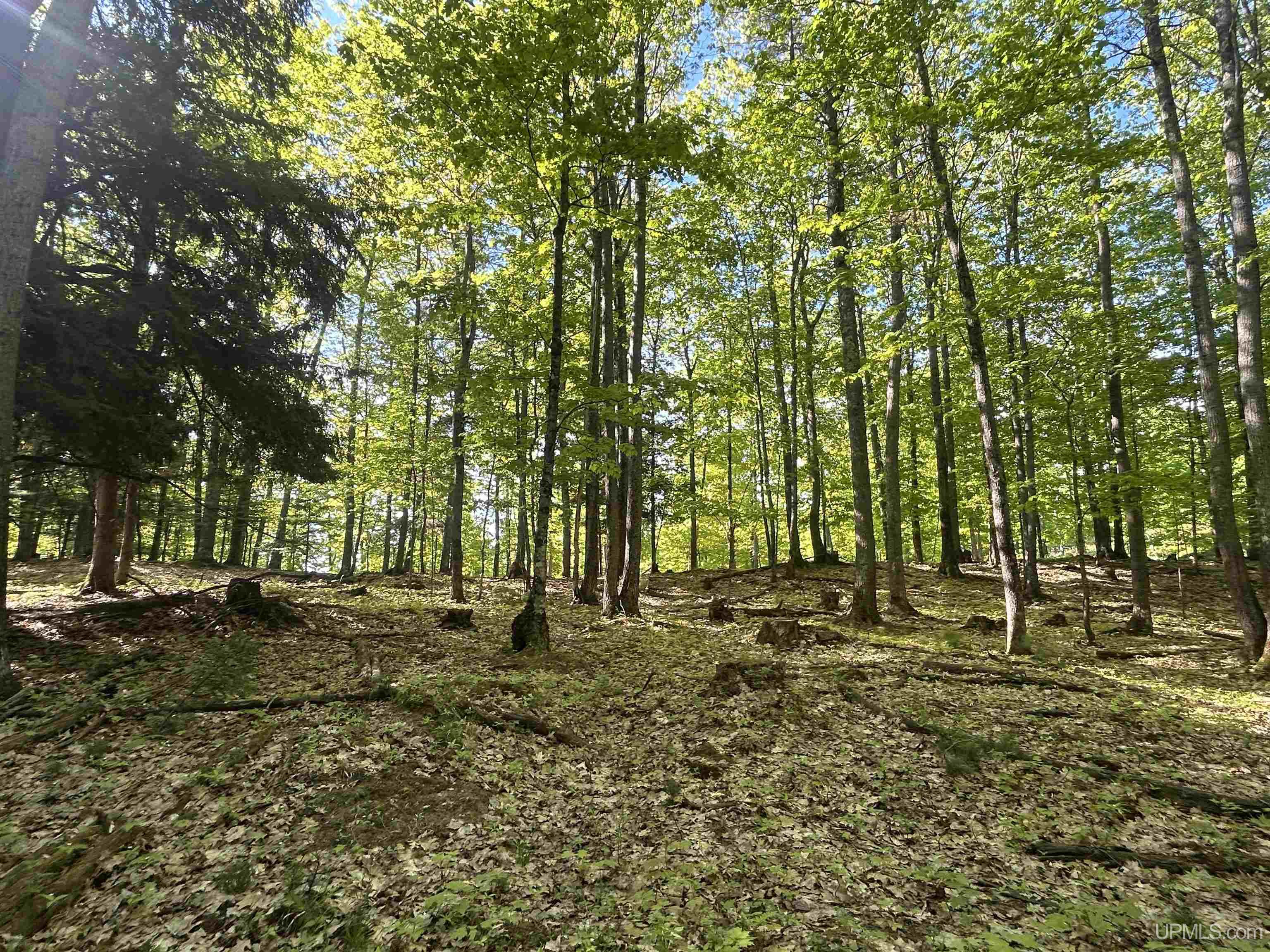 Tbd McClure Dm Road Negaunee, MI 49866 - Photo 4 of 16