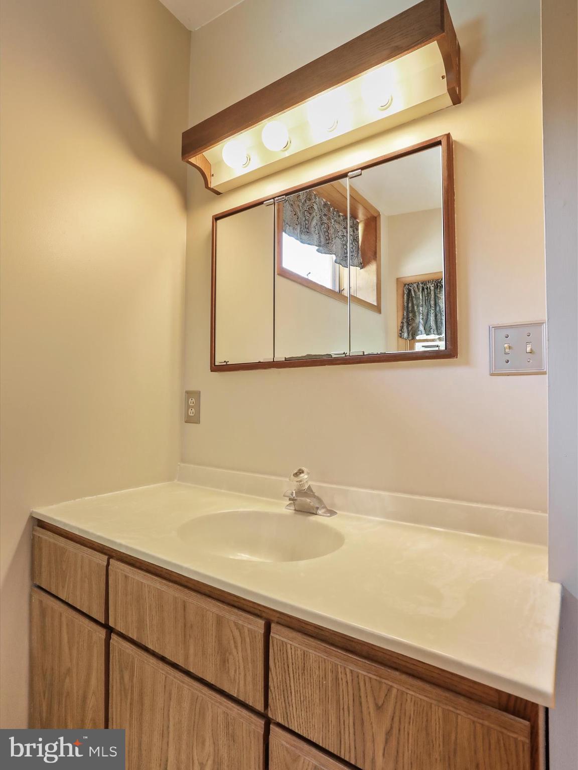 10572 Shenandoah Path Catlett, VA 20119 - Photo 36 of 74 primary bath