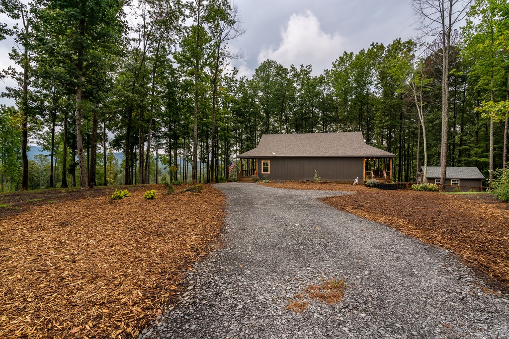 1450 Twisted Oak Road Talking Rock, GA 30175 - Photo 45 of 59 a front view of a house with a yard and tree s