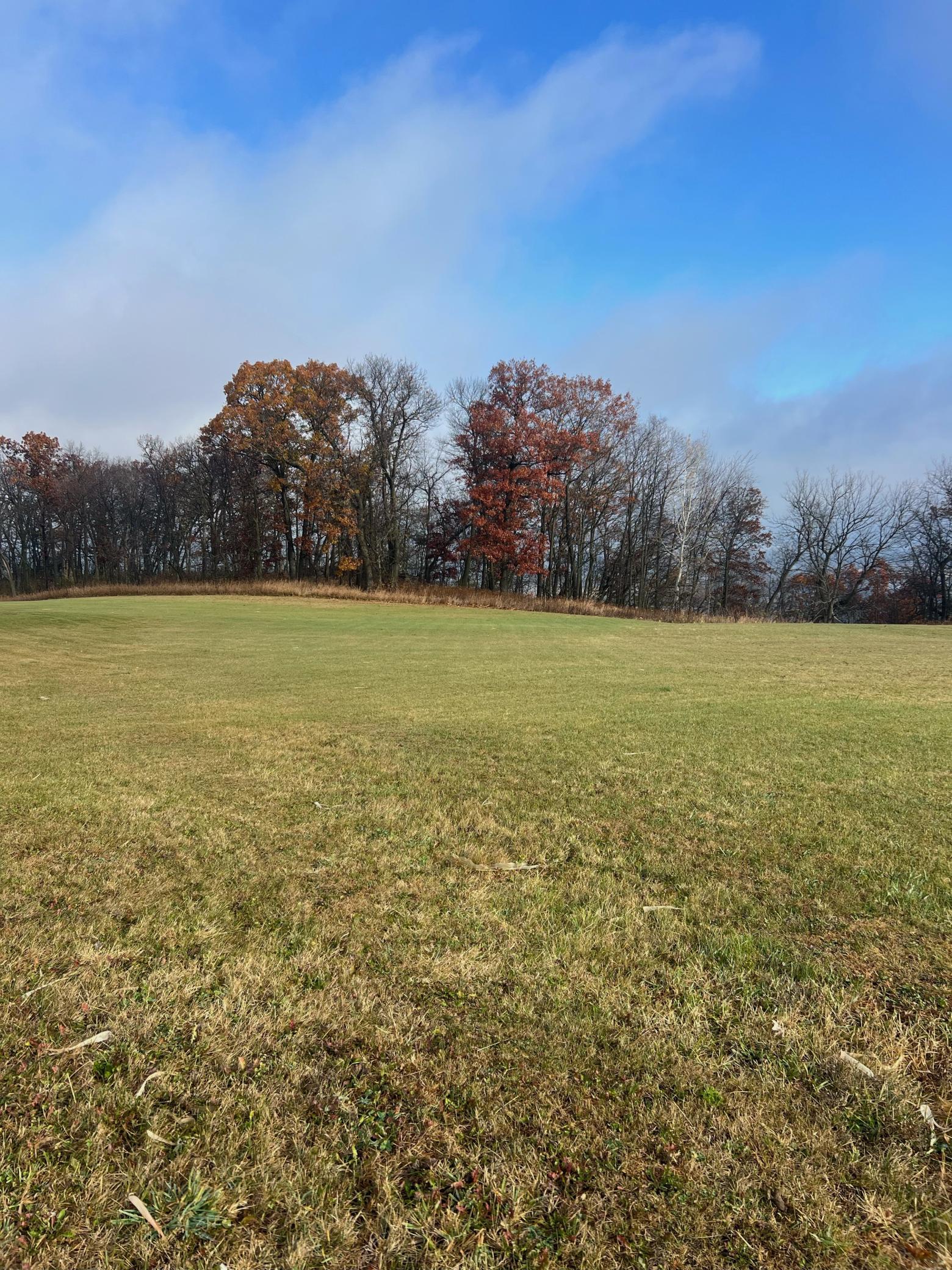 Lot 9 177th Avenue Wabasha, MN 55981 - Photo 11 of 12