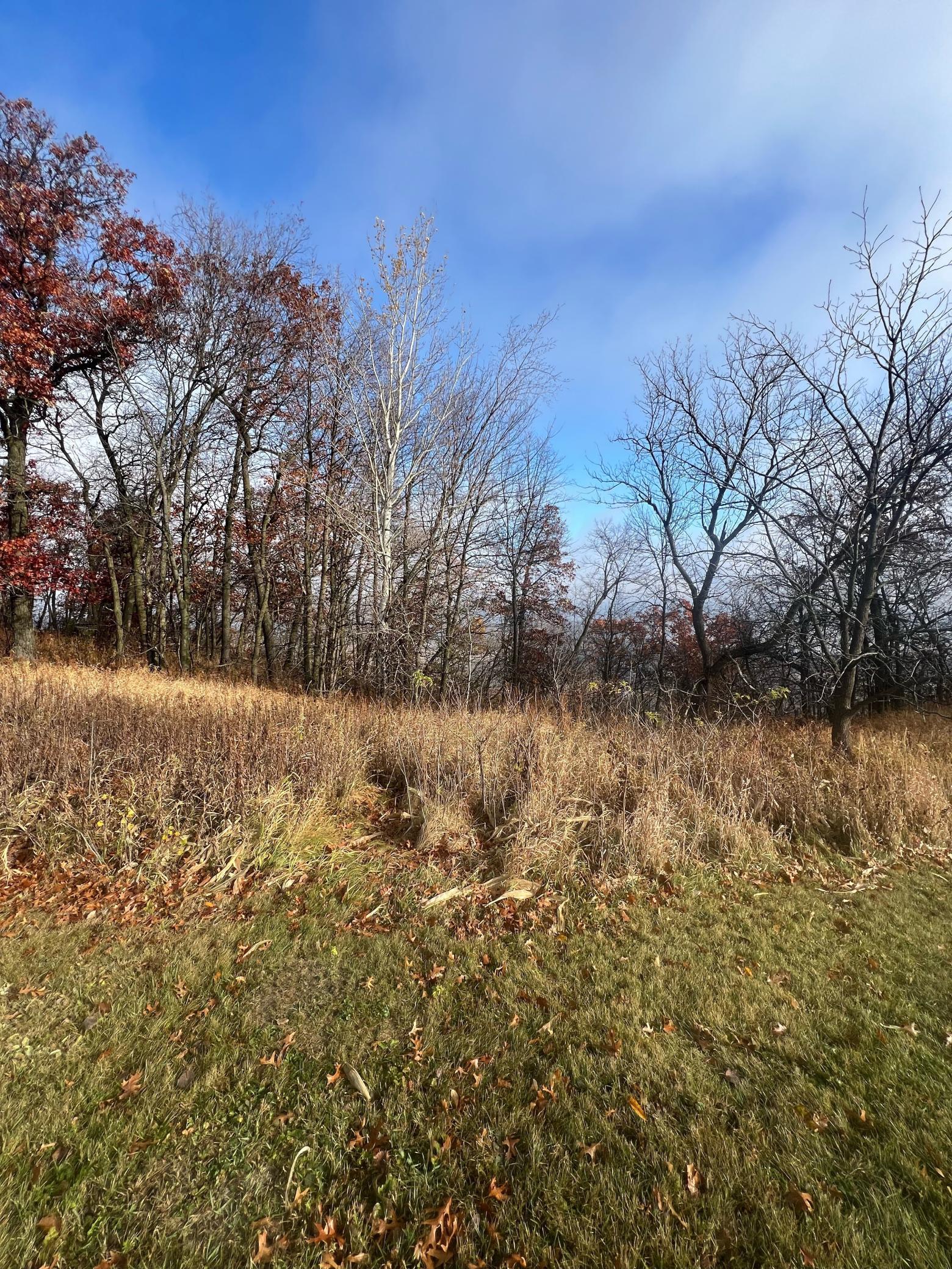 Lot 9 177th Avenue Wabasha, MN 55981 - Photo 12 of 12