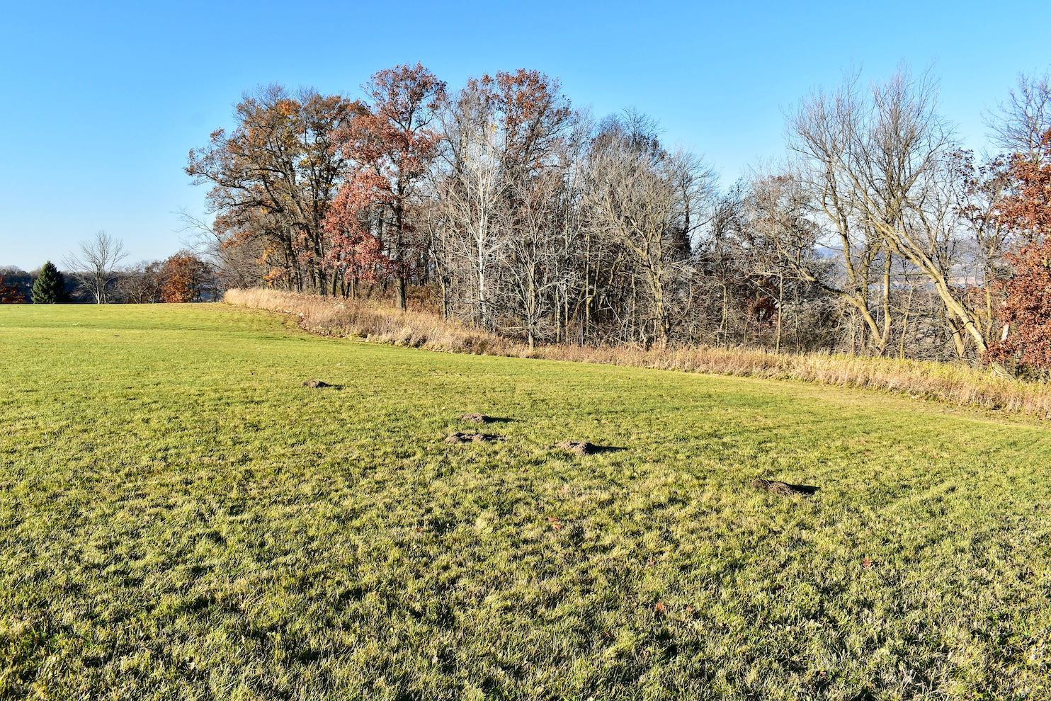 Lot 9 177th Avenue Wabasha, MN 55981 - Photo 4 of 12