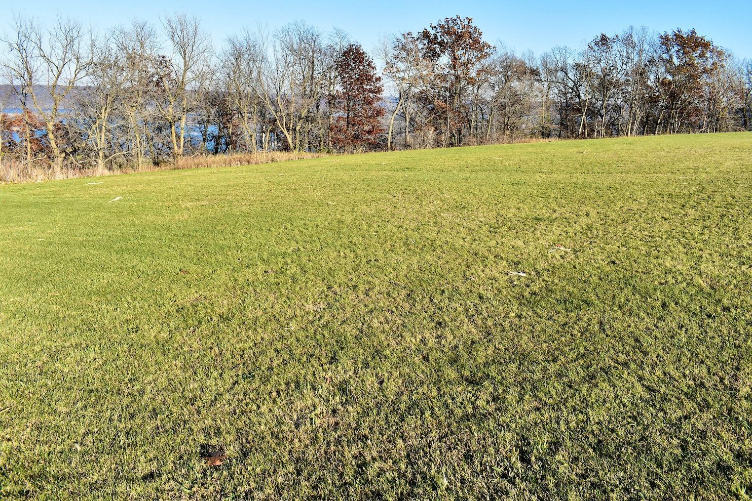 Lot 9 177th Avenue Wabasha, MN 55981 - Photo 6 of 12