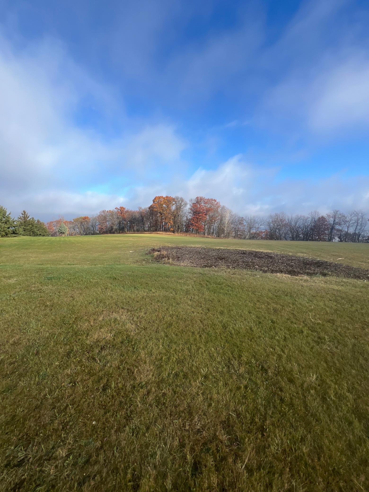 Lot 9 177th Avenue Wabasha, MN 55981 - Photo 10 of 12