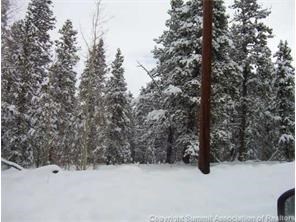 625 Beaver Ridge Road Fairplay, CO 80440 - Photo 3 of 4 Gallery Image 3