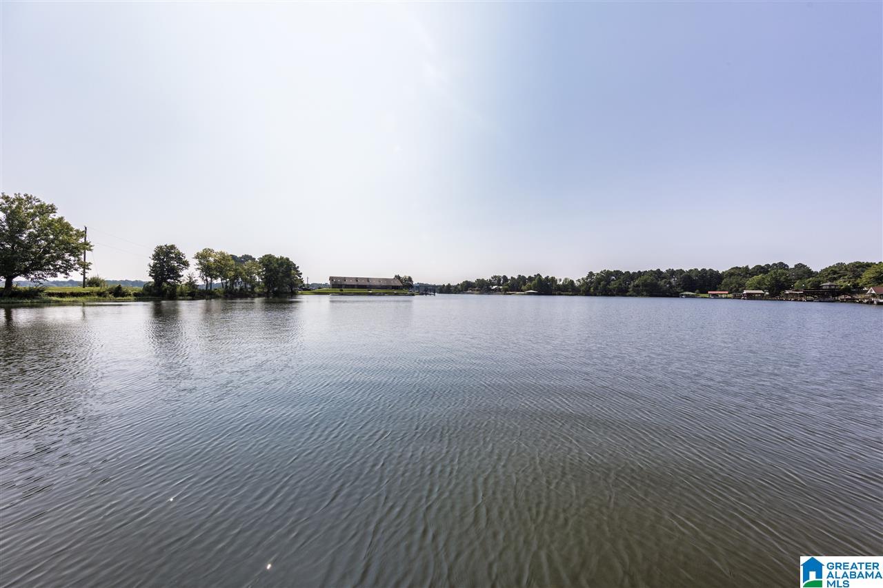 708 Cove Point Drive Riverside, AL 35135 - Photo 23 of 50