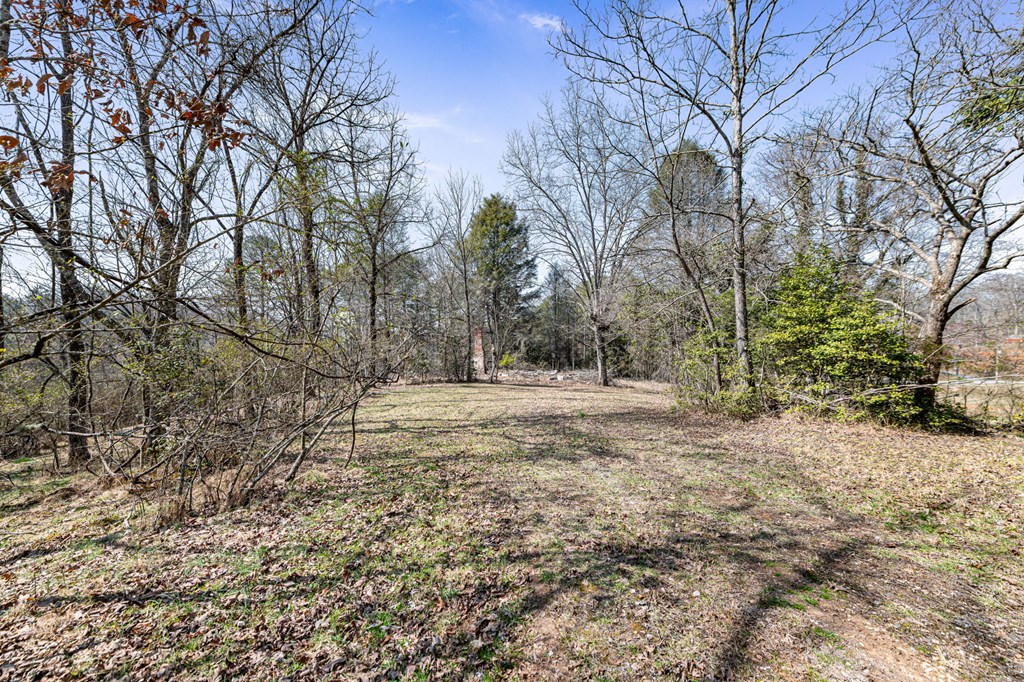 3 Old Mill Road Mineral Bluff, GA 30559 - Photo 14 of 45