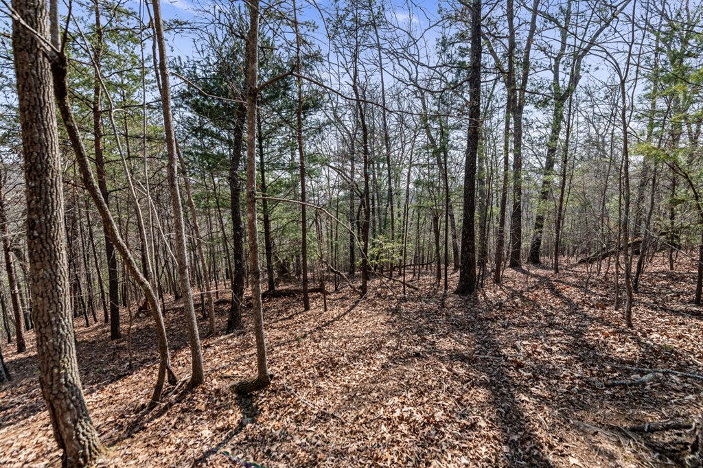 3 Old Mill Road Mineral Bluff, GA 30559 - Photo 19 of 45