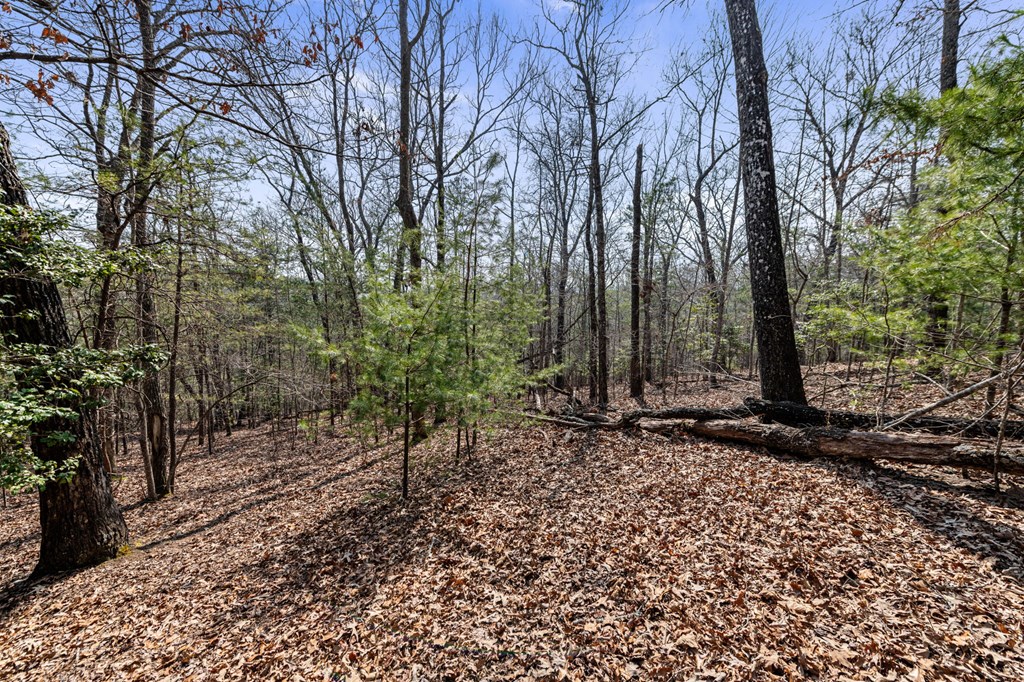 3 Old Mill Road Mineral Bluff, GA 30559 - Photo 20 of 45