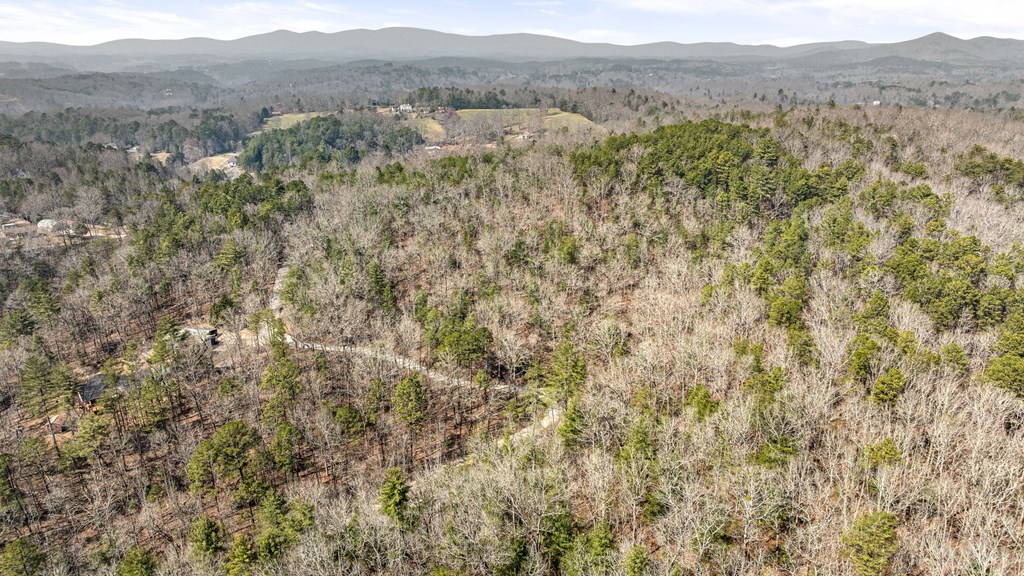 3 Old Mill Road Mineral Bluff, GA 30559 - Photo 2 of 45
