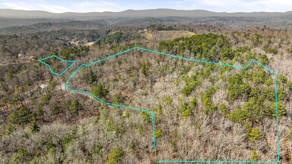 3 Old Mill Road Mineral Bluff, GA 30559 - Photo 25 of 45