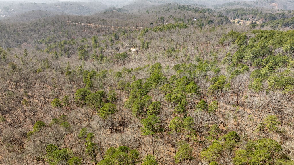 3 Old Mill Road Mineral Bluff, GA 30559 - Photo 38 of 45
