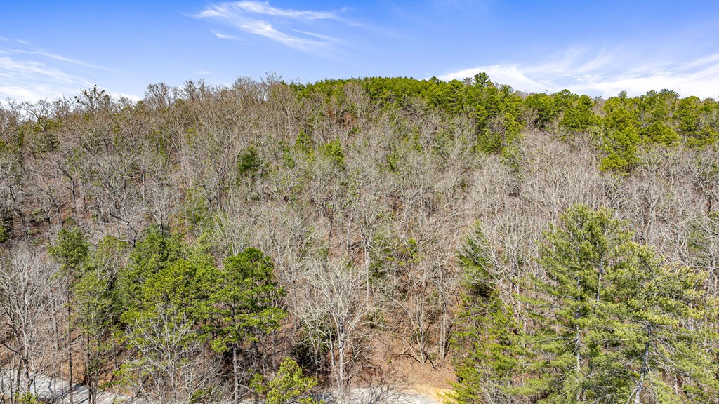 3 Old Mill Road Mineral Bluff, GA 30559 - Photo 45 of 45